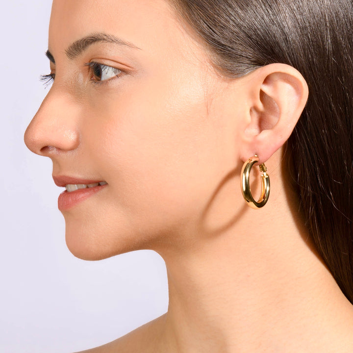 Aster Plain Hoops