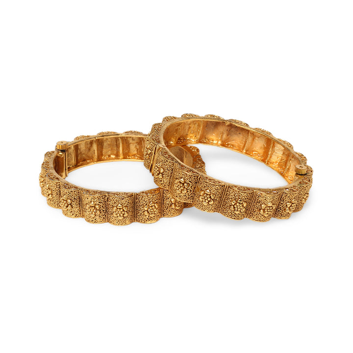 Raagavi Traditional Kada Pair